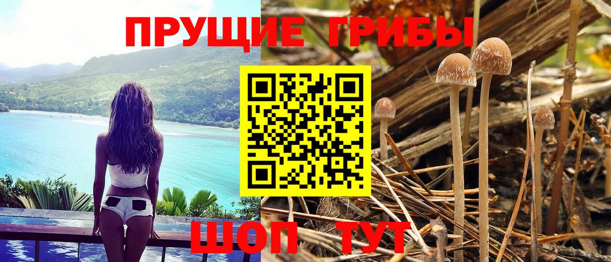 Галлюциногенные грибы GOLDEN TEACHER Соликамск