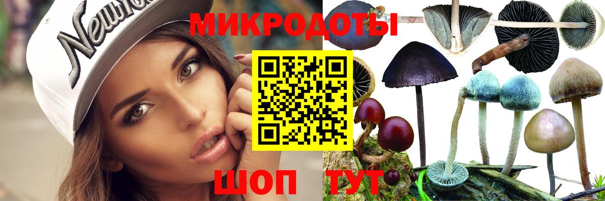 Соликамск  Галлюциногенные грибы Psilocybine cubensis  Вход с VPN  Галлюциногенные грибы Psilocybe 